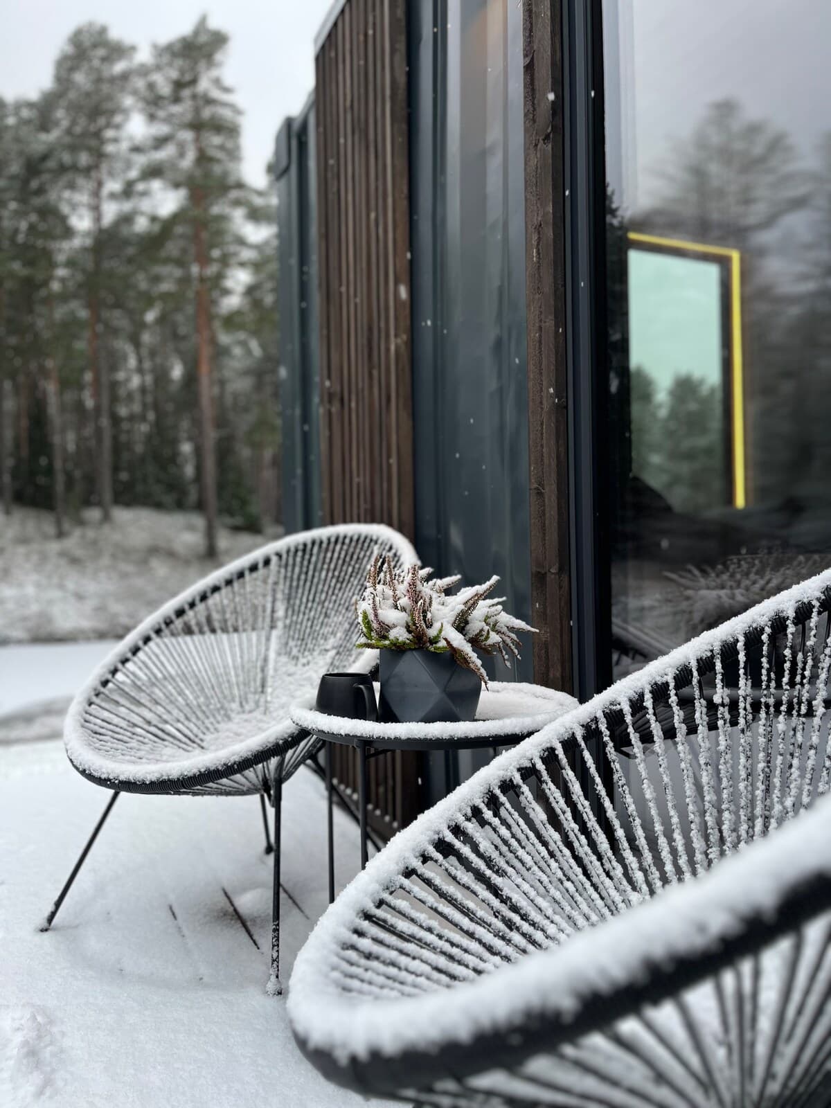 Forest next to a calm lake near the property
