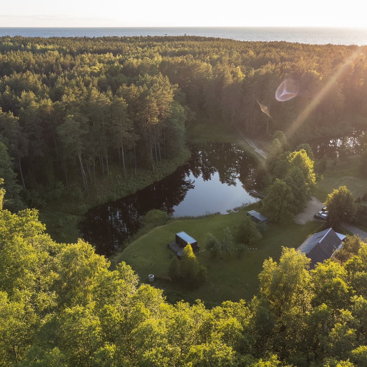 Mežs pie klusa dīķa teritorijā